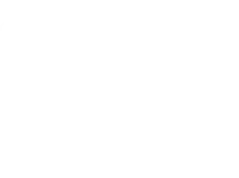 Shine Logo